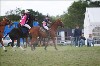 UKPA  NC Sat_1445